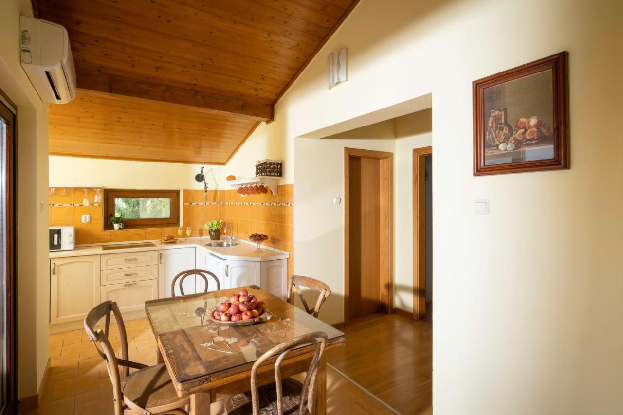 Apartment Villa Ema Krapinske Toplice Extérieur photo